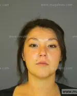 Booking photo of Ginger Sue Elliott, Anderson County, Feb 3, 2014