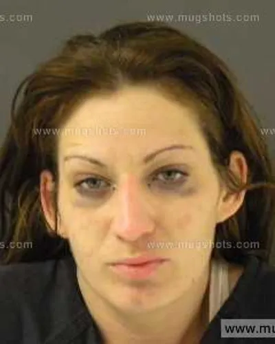 Booking photo of Heather Nicole Edwards, Anderson County, Jan 27, 2014