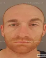 Booking photo of Brandon Scott Mcfarland, Anderson County, Nov 16, 2015