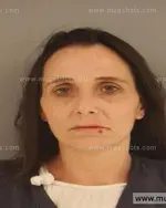 Booking photo of Melissa Ann Cox, Anderson County, May 27, 2014