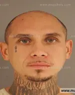 Booking photo of Gilbert Florez Vega, Anderson County, Jun 3, 2014