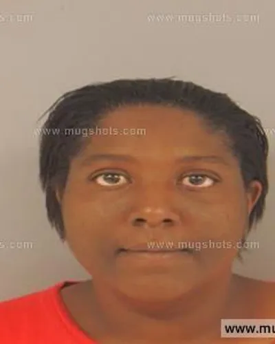 Booking photo of Brooke Johnson, Anderson County, Aug 22, 2015