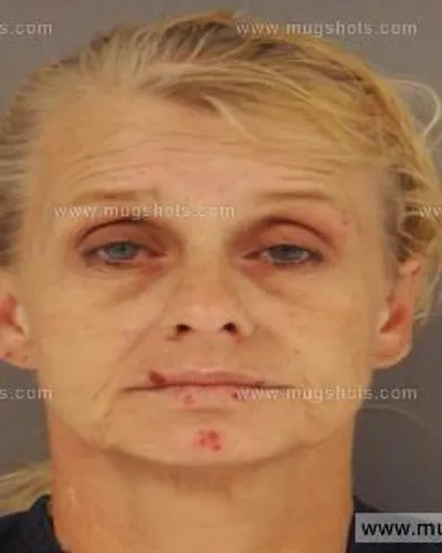 Booking photo of Barbara Ann Seiber, Anderson County, Dec 3, 2014