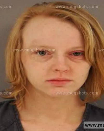 Booking photo of Ashley Renee Bray, Anderson County, May 1, 2014
