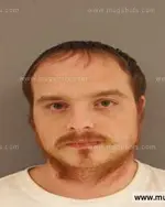 Booking photo of Kevin Dewayne Collins, Anderson County, Mar 18, 2014