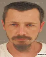 Booking photo of Randy Lyn Roach, Anderson County, Nov 12, 2015