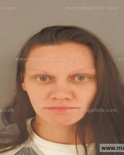 Booking photo of Felicia Lowe, Anderson County, Jul 17, 2015