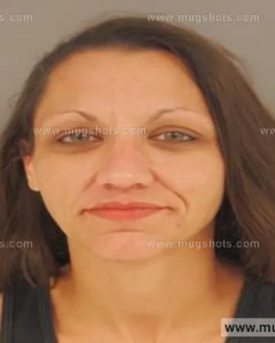 Booking photo of April Michelle Beach, Anderson County, Oct 1, 2015