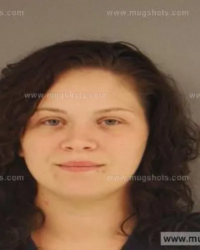 Booking photo of Caitlyn Lane, Anderson County, Sep 3, 2014