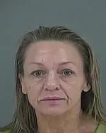 Booking photo of Wendy L Guardino, Anderson County, Nov 13, 2025