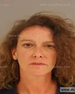 Booking photo of Lana Hope Peerbolte, Anderson County, Nov 4, 2014