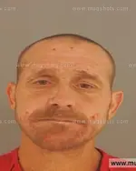 Booking photo of Lewis Ray Sampsel, Anderson County, Oct 30, 2015