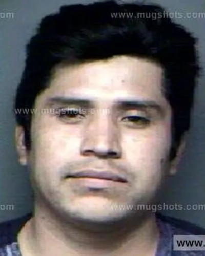 Booking photo of Felipe Flores, Anderson County, Aug 17, 2012
