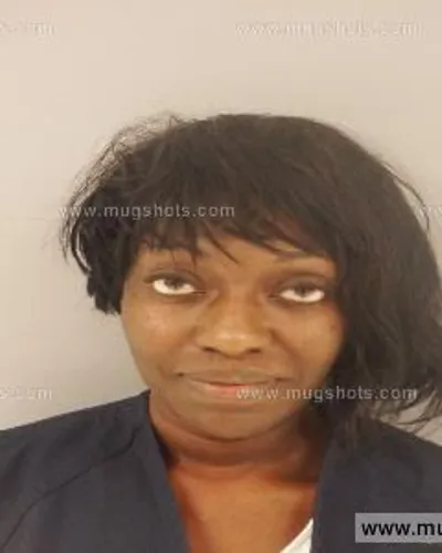 Booking photo of Ashley Robu, Anderson County, Sep 17, 2014