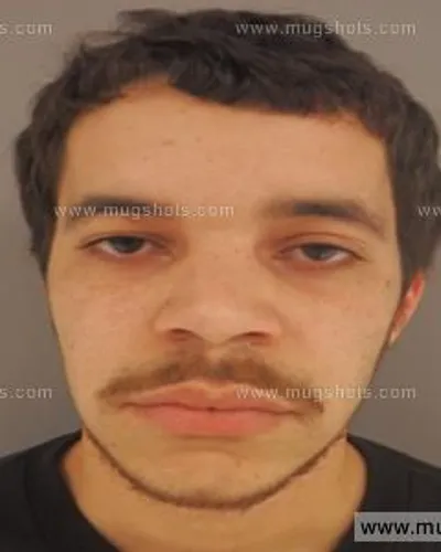 Booking photo of Alec Fritts, Anderson County, Nov 4, 2015