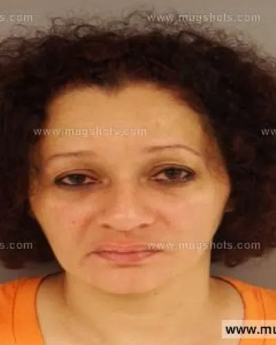 Booking photo of Elizabeth Torres, Anderson County, Aug 17, 2014