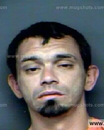 Booking photo of Steven Lee Reed, Anderson County, Nov 28, 2012