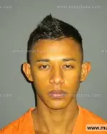 Booking photo of Isidro Josue Caceres-Meza, Anderson County, Oct 10, 2013