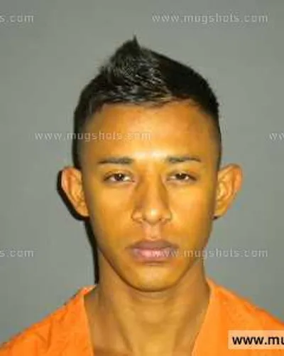 Booking photo of Isidro Caceres-Meza, Anderson County, Oct 10, 2013