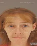 Booking photo of Heather Renee Freels, Anderson County, May 19, 2015