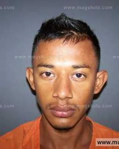 Booking photo of Isidro Josue Caceres-Meza, Anderson County, Jul 3, 2013