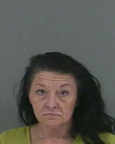 Booking photo of TERRI A SNELSON, Anderson County, Jun 9, 2025