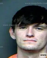 Booking photo of Nicholas David Hedge, Anderson County, Aug 23, 2011