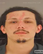 Booking photo of James Bryan Vasser, Anderson County, May 2, 2015