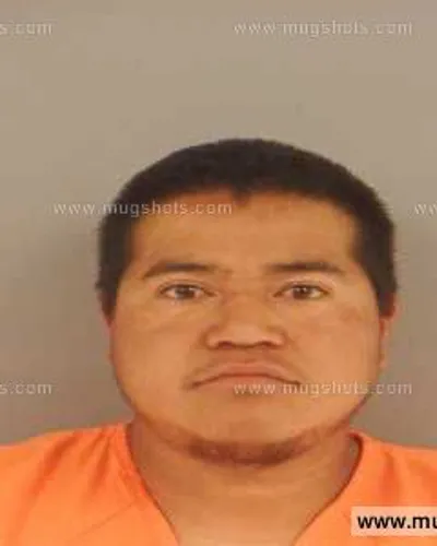 Booking photo of Marcelino Rosas-Mendes, Anderson County, Mar 16, 2014