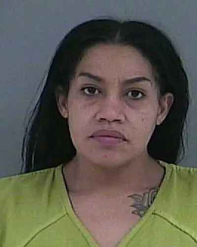 Booking photo of Megan Nicole Lowe, Anderson County, Feb 6, 2026