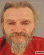 Booking photo of James Darrell Yeager, Anderson County, Nov 20, 2015