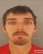 Booking photo of Brandon Dewayne Braswell, Anderson County, Nov 15, 2015