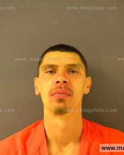 Booking photo of Thomas Raymond Ward, Anderson County, Feb 2, 2014