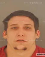 Booking photo of Aaron Eugene Seiber, Anderson County, Nov 7, 2015