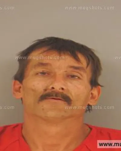 Booking photo of ROGER L JR YOUNG, Anderson County, May 13, 2015