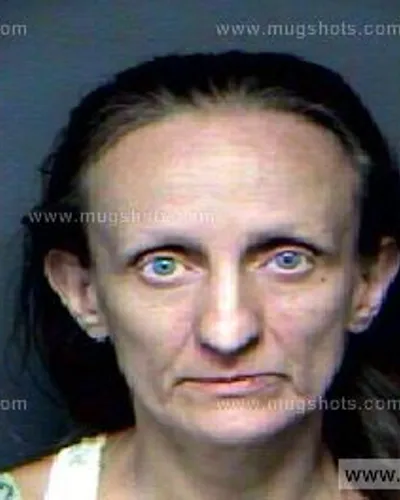 Booking photo of Tammy Lowery, Anderson County, Aug 24, 2012