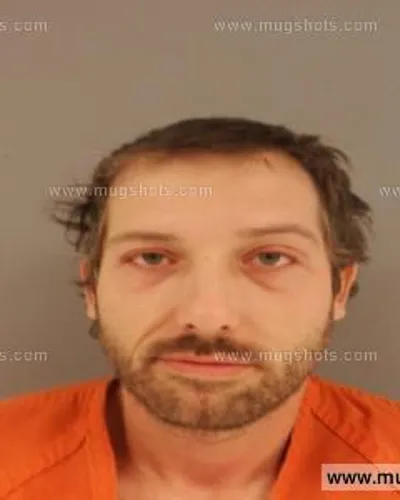 Booking photo of Erica Danyle Anderson, Anderson County, Nov 22, 2014