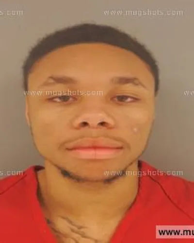 Booking photo of Vance King, Anderson County, Nov 9, 2015