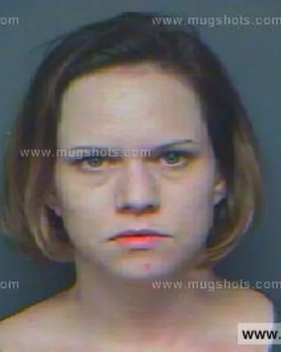 Booking photo of Sarah Shelton Johnson, Anderson County, Nov 12, 2012