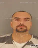 Booking photo of David Wayne Fritts, Anderson County, Jul 21, 2015