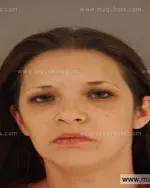 Booking photo of Amber Nicole Paysinger, Anderson County, Jun 14, 2014