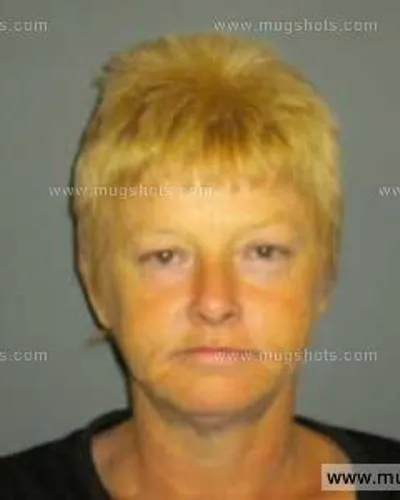 Booking photo of Melissa Ann Cox, Anderson County, Nov 10, 2013