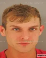 Booking photo of Desteryn Lynn Arnold, Anderson County, Sep 1, 2015