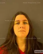 Booking photo of Crystal Michelle Newcomb, Anderson County, Jan 25, 2014