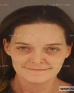 Booking photo of Dawn Renee Dison, Anderson County, Dec 17, 2014