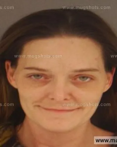 Booking photo of Dawn Renee Dison, Anderson County, Dec 17, 2014