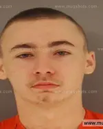 Booking photo of Dillon Dewayne Mcghee, Anderson County, Oct 31, 2014