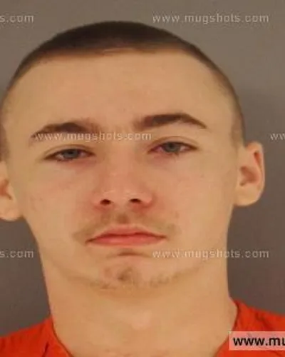 Booking photo of Dillon Dewayne Mcghee, Anderson County, Oct 31, 2014