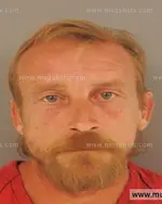 Booking photo of Brian Wayne Hawkins, Anderson County, Jun 3, 2015