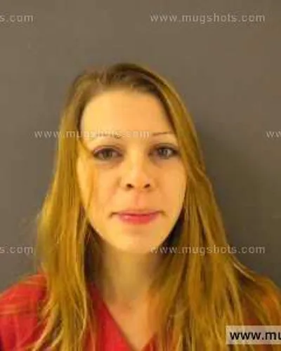 Booking photo of Kimberly Ann Reynolds, Anderson County, Jan 14, 2014